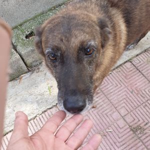 Rita